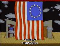 season 4 america GIF