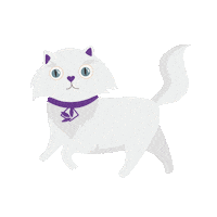 Cat Love Sticker by MuniÑuñoa