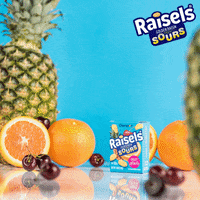 raisels fruit splash GIF