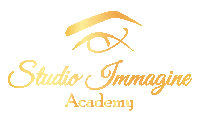 StudioImmagine pmu permanentmakeup pigments dermopigmentazione Sticker
