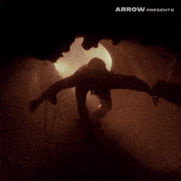 Texas Chainsaw Massacre Film GIF by Arrow Video
