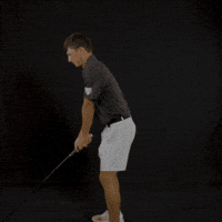 Fort Wayne Golf GIF by Purdue Fort Wayne Athletics
