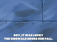 season 5 GIF by SpongeBob SquarePants