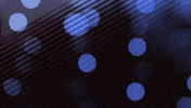 fabricgif happy celebrate birthday happy birthday GIF