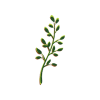 vitaveg plants eco plant based eco friendly Sticker