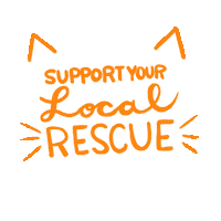 bethykins cats cat rescue badnewspuppy bethykins Sticker