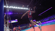 GIF by Volleyball World