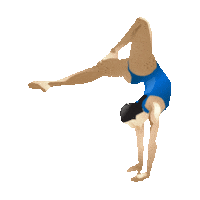 Cheer Gymnastics Sticker by imoji