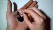Palm GIF