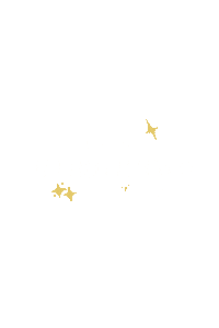 Stars Sparkle Sticker by haar-shop.ch