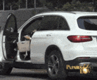 Car Auto GIF