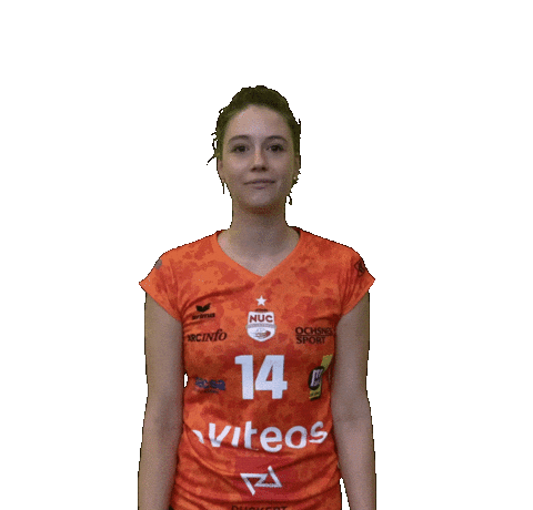 Volley Yes Sticker by NUCVolleyball
