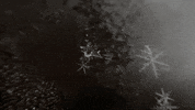 GIF by Giffffr