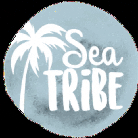 seatribee giphygifmaker seatribe GIF