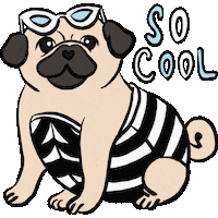 Summer Beach Sticker