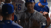 conforto GIF by MLB