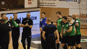 Ceska Republika Yes GIF by HCB Karviná