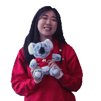 Koala Sticker by Study Adelaide