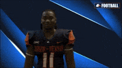 Cnfb GIF by Carson-Newman Athletics