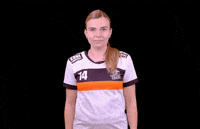 PragueTigersNehvizdy praguetigers nehvizdy GIF