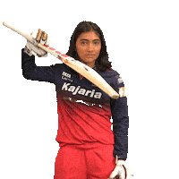 Happy Dance Sticker by Royal Challengers Bengaluru
