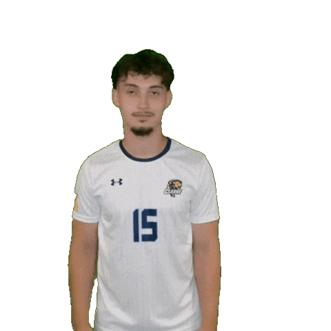Clarke Mens Soccer Sticker by Clarke University