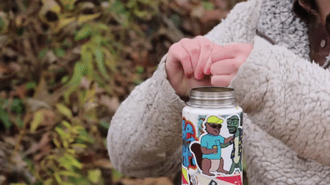 BWCAW1976 giphyupload GIF