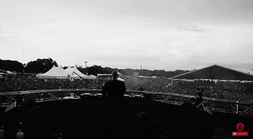 tjr GIF by Disco Donnie Presents