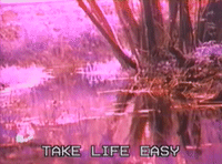 glitchedmemories  GIF