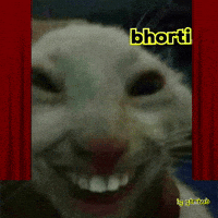 Cat Indian GIF