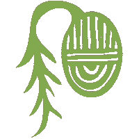 Seed Sprout Sticker by Young Agrarians