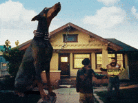 GIF by AP Dhillon