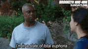 Brooklyn Nine Nine Euphoria GIF by FOX TV