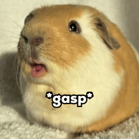No Way Wow GIF by Respective