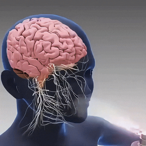 dirod99 giphyupload GIF