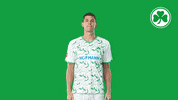 Goal Var GIF by SpVgg Greuther Fürth