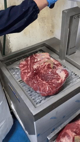 juanpablosanromn giphyupload GIF