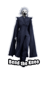 Khaleesi Bend The Knee Sticker by Caravan of Paws