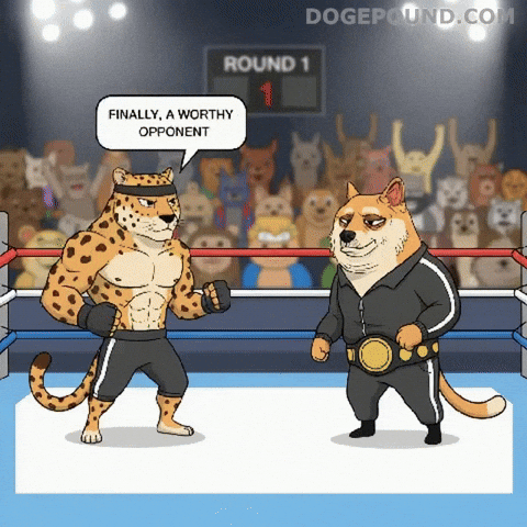 Face Off Fight GIF by Doge Pound