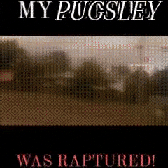 Jenna Ortega Wednesday GIF