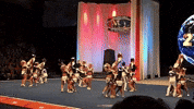 Tumbling World Champions GIF