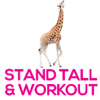 Agency Advertising Sticker by Giraffes