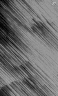 Choi Seunghyun Top GIF