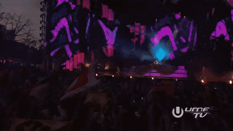 music festival fire GIF by Tiësto