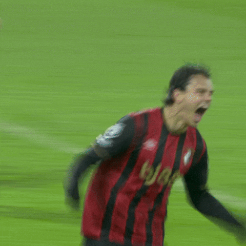 Happy Premier League GIF by AFC Bournemouth