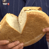 14 February Love GIF by TRT