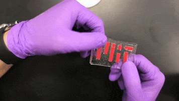 polymer hydrogel GIF by MIT 