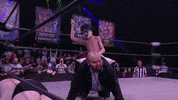 Horse Ride GIF by Leroy Patterson