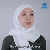 Neighboring countries 