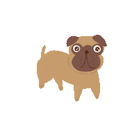 Whats Up Dog Sticker by Dita W. Yolashasanti